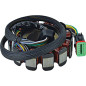 ARROWHEAD (JN) UZWOJENIE ALTERNATORA (STATOR) KAWASAKI JT 1100 STX DI '00-03, ULTRA 130 '01-04 (SKUTER WODNY) ARROWHEAD (JN) UZWOJENIE ALTERNATORA (STATOR) KAWASAKI JT 1100 STX DI '00-03, ULTRA 130 '01-04 (SKUTER WODNY)