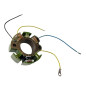 ELECTREX CEWKA UZWOJENIA ALTERNATORA (STATORA) SUZUKI RM 250 '02-'06 ELECTREX CEWKA UZWOJENIA ALTERNATORA (STATORA) SUZUKI RM 250 '02-'06