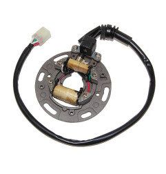 ELECTROSPORT UZWOJENIE ALTERNATORA (STATOR) KAWASAKI KX 125 '95-'97 (Z PŁYTĄ I KABLAMI)