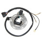 ELECTROSPORT UZWOJENIE ALTERNATORA (STATOR) KAWASAKI KX 85/100 '01-'05 (Z PŁYTĄ I KABALMI) ELECTROSPORT UZWOJENIE ALTERNATORA (STATOR) KAWASAKI KX 85/100 '01-'05 (Z PŁYTĄ I KABALMI)