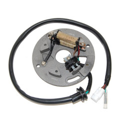 ELECTROSPORT UZWOJENIE ALTERNATORA (STATOR) YAMAHA YZ 250 '90-'95, WR 250 '90-'97