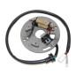 ELECTROSPORT UZWOJENIE ALTERNATORA (STATOR) YAMAHA YZ 250 '90-'95, WR 250 '90-'97 ELECTROSPORT UZWOJENIE ALTERNATORA (STATOR) YAMAHA YZ 250 '90-'95, WR 250 '90-'97