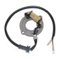 ELECTROSPORT UZWOJENIE ALTERNATORA (STATOR) HONDA CR 80 '83-'02, 85 '03-'04 ELECTROSPORT UZWOJENIE ALTERNATORA (STATOR) HONDA CR 80 '83-'02, 85 '03-'04