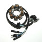 ELECTROSPORT UZWOJENIE ALTERNATORA (STATOR) HONDA CRF 450R '02-'04 (Z IMPULSATOREM) ELECTROSPORT UZWOJENIE ALTERNATORA (STATOR) HONDA CRF 450R '02-'04 (Z IMPULSATOREM)