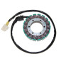 ELECTROSPORT UZWOJENIE ALTERNATORA (STATOR) HONDA CBR 900RR FIREBLADE '96-'99 ELECTROSPORT UZWOJENIE ALTERNATORA (STATOR) HONDA CBR 900RR FIREBLADE '96-'99