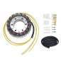 ELECTROSPORT UZWOJENIE ALTERNATORA (STATOR) HONDA NT 650 HAWK '88-'90, SUZUKU GV 1200 MADURA '85-'86 ELECTROSPORT UZWOJENIE ALTERNATORA (STATOR) HONDA NT 650 HAWK '88-'90, SUZUKU GV 1200 MADURA '85-'86