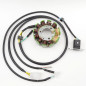 ELECTROSPORT UZWOJENIE ALTERNATORA (STATOR) HONDA CMX 250C REBEL '96-'09 ELECTROSPORT UZWOJENIE ALTERNATORA (STATOR) HONDA CMX 250C REBEL '96-'09