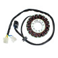 ELECTROSPORT UZWOJENIE ALTERNATORA (STATOR) HYOSUNG GT 650/650S/650R '06-'13, GV650 AQUILA '06-'13 ELECTROSPORT UZWOJENIE ALTERNATORA (STATOR) HYOSUNG GT 650/650S/650R '06-'13, GV650 AQUILA '06-'13