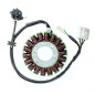 ELECTROSPORT UZWOJENIE ALTERNATORA (STATOR) KAWASAKI EX300 NINJA 13-17 (Z IMPULSATOREM) ELECTROSPORT UZWOJENIE ALTERNATORA (STATOR) KAWASAKI EX300 NINJA 13-17 (Z IMPULSATOREM)