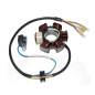 ELECTROSPORT UZWOJENIE ALTERNATORA (STATOR) HONDA CRF 80 '04-'09, XR 80R '93-'03, CRF 100F '04-'09, XR 100R '92-'03 ELECTROSPORT UZWOJENIE ALTERNATORA (STATOR) HONDA CRF 80 '04-'09, XR 80R '93-'03, CRF 100F '04-'09, XR 100R '92-'03