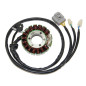 ELECTROSPORT UZWOJENIE ALTERNATORA (STATOR) HONDA TRX 450R '04-'05 (Z IMPULSATOREM) (HIGH POWER) ELECTROSPORT UZWOJENIE ALTERNATORA (STATOR) HONDA TRX 450R '04-'05 (Z IMPULSATOREM) (HIGH POWER)