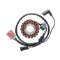 ELECTROSPORT UZWOJENIE ALTERNATORA (STATOR) APRILIA / GILERA / ITALJET / MALAGUTI / PIAGGIO / VESPA 125/250/300/500CCM ELECTROSPORT UZWOJENIE ALTERNATORA (STATOR) APRILIA / GILERA / ITALJET / MALAGUTI / PIAGGIO / VESPA 125/250/300/500CCM
