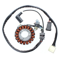 ELECTROSPORT UZWOJENIE ALTERNATORA (STATOR) APRILIA ATLANTIC 300, PIAGGIO 125/300 BEVERLY / MP3, VESPA GTS 125/300
