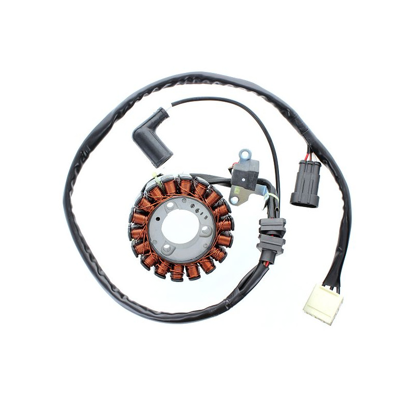 ELECTROSPORT UZWOJENIE ALTERNATORA (STATOR) APRILIA ATLANTIC 300, PIAGGIO 125/300 BEVERLY / MP3, VESPA GTS 125/300 ELECTROSPORT UZWOJENIE ALTERNATORA (STATOR) APRILIA ATLANTIC 300, PIAGGIO 125/300 BEVERLY / MP3, VESPA GTS 125/300