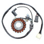 ELECTROSPORT UZWOJENIE ALTERNATORA (STATOR) APRILIA ATLANTIC 300, PIAGGIO 125/300 BEVERLY / MP3, VESPA GTS 125/300 ELECTROSPORT UZWOJENIE ALTERNATORA (STATOR) APRILIA ATLANTIC 300, PIAGGIO 125/300 BEVERLY / MP3, VESPA GTS 125/300