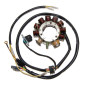 ELECTROSPORT UZWOJENIE ALTERNATORA (STATOR) POLARIS 400/500 (00-04) (Z IMPULSATOREM) ELECTROSPORT UZWOJENIE ALTERNATORA (STATOR) POLARIS 400/500 (00-04) (Z IMPULSATOREM)