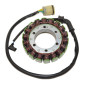 ELECTROSPORT UZWOJENIE ALTERNATORA (STATOR) HONDA TRX 450FM FOREMAN (02-04) ELECTROSPORT UZWOJENIE ALTERNATORA (STATOR) HONDA TRX 450FM FOREMAN (02-04)