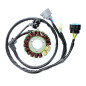 ELECTROSPORT UZWOJENIE ALTERNATORA (STATOR) HONDA TRX 450R/ER (06-10) (Z IMPULSATOREM ) ELECTROSPORT UZWOJENIE ALTERNATORA (STATOR) HONDA TRX 450R/ER (06-10) (Z IMPULSATOREM )