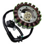 ELECTROSPORT UZWOJENIE ALTERNATORA (STATOR) HONDA TRX 680 RINCON 06-15 (Z IMPULSATOREM) ELECTROSPORT UZWOJENIE ALTERNATORA (STATOR) HONDA TRX 680 RINCON 06-15 (Z IMPULSATOREM)
