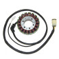 ELECTROSPORT UZWOJENIE ALTERNATORA (STATOR) KAWASAKI ZX-12R (02-03) ELECTROSPORT UZWOJENIE ALTERNATORA (STATOR) KAWASAKI ZX-12R (02-03)