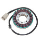 ELECTROSPORT UZWOJENIE ALTERNATORA (STATOR) KAWASAKI ZX6R/ZX-6RR (03-04), Z 750S (05-06), Z 1000 (03-06) ELECTROSPORT UZWOJENIE ALTERNATORA (STATOR) KAWASAKI ZX6R/ZX-6RR (03-04), Z 750S (05-06), Z 1000 (03-06)