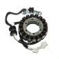 ELECTROSPORT UZWOJENIE ALTERNATORA (STATOR) YAMAHA XVS 650 (04-15) HIGH POWER (Z IMPULSATOREM) (275W/3500RPM) ELECTROSPORT UZWOJENIE ALTERNATORA (STATOR) YAMAHA XVS 650 (04-15) HIGH POWER (Z IMPULSATOREM) (275W/3500RPM)