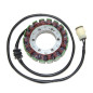 ELECTROSPORT UZWOJENIE ALTERNATORA (STATOR) KAWASAKI KVF 650 PRAIRIE / BRUTE FORCE (02-08) ELECTROSPORT UZWOJENIE ALTERNATORA (STATOR) KAWASAKI KVF 650 PRAIRIE / BRUTE FORCE (02-08)
