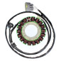 ELECTROSPORT UZWOJENIE ALTERNATORA (STATOR) YAMAHA V-STAR 950B/TOURER 09-16 ( Z IMPULSATOREM) ELECTROSPORT UZWOJENIE ALTERNATORA (STATOR) YAMAHA V-STAR 950B/TOURER 09-16 ( Z IMPULSATOREM)