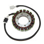 ELECTROSPORT UZWOJENIE ALTERNATORA (STATOR) KAWASAKI KVF 400 PRAIRIE (99-02) ELECTROSPORT UZWOJENIE ALTERNATORA (STATOR) KAWASAKI KVF 400 PRAIRIE (99-02)