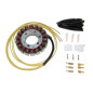 ELECTROSPORT UZWOJENIE ALTERNATORA (STATOR) SUZUKI VZ 800 MARAUDER (97-04), KAWASAKI ZX-6R (95-97), ZZR 600 (90-04) ELECTROSPORT UZWOJENIE ALTERNATORA (STATOR) SUZUKI VZ 800 MARAUDER (97-04), KAWASAKI ZX-6R (95-97), ZZR 600 (90-04)