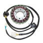 ELECTROSPORT UZWOJENIE ALTERNATORA (STATOR) SUZUKI VS 800 GL INTRUDER '96-'05, VS 800 / S50 BOULEVARD '06-'09 ELECTROSPORT UZWOJENIE ALTERNATORA (STATOR) SUZUKI VS 800 GL INTRUDER '96-'05, VS 800 / S50 BOULEVARD '06-'09