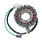 ELECTROSPORT UZWOJENIE ALTERNATORA (STATOR) KAWASAKI ZX 600R (86-97), ZL 600 ELIMINATOR (86-97) ELECTROSPORT UZWOJENIE ALTERNATORA (STATOR) KAWASAKI ZX 600R (86-97), ZL 600 ELIMINATOR (86-97)