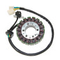 ELECTROSPORT UZWOJENIE ALTERNATORA (STATOR) SUZUKI GSX 1300R HAYABUSA '99-'07 (Z IMPULSATOREM) ELECTROSPORT UZWOJENIE ALTERNATORA (STATOR) SUZUKI GSX 1300R HAYABUSA '99-'07 (Z IMPULSATOREM)