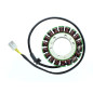 ELECTROSPORT UZWOJENIE ALTERNATORA (STATOR) HONDA VT750C/C2 SHADOW AERO 04-09 ELECTROSPORT UZWOJENIE ALTERNATORA (STATOR) HONDA VT750C/C2 SHADOW AERO 04-09