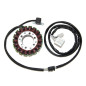 ELECTROSPORT UZWOJENIE ALTERNATORA (STATOR) YAMAHA T-MAX 500 (01-11) Z IMPULSATOREM ELECTROSPORT UZWOJENIE ALTERNATORA (STATOR) YAMAHA T-MAX 500 (01-11) Z IMPULSATOREM