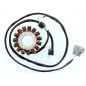 ELECTROSPORT UZWOJENIE ALTERNATORA (STATOR) YAMAHA YFM 550 GRIZZLY (09-14), YFM 700 (07-15) (Z IMPULSATOREM) ELECTROSPORT UZWOJENIE ALTERNATORA (STATOR) YAMAHA YFM 550 GRIZZLY (09-14), YFM 700 (07-15) (Z IMPULSATOREM)