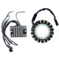 ELECTROSPORT UZWOJENIE ALTERNATORA (STATOR) HARLEY DAVIDSON EVO SOFTAIL (89-00), DYNA (92-98), TOURING (88-96) ELECTROSPORT UZWOJENIE ALTERNATORA (STATOR) HARLEY DAVIDSON EVO SOFTAIL (89-00), DYNA (92-98), TOURING (88-96)