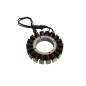 ELECTROSPORT UZWOJENIE ALTERNATORA (STATOR) HARLEY DAVIDSON TOURING (TWIN CAM 88/96) (06-08) ELECTROSPORT UZWOJENIE ALTERNATORA (STATOR) HARLEY DAVIDSON TOURING (TWIN CAM 88/96) (06-08)