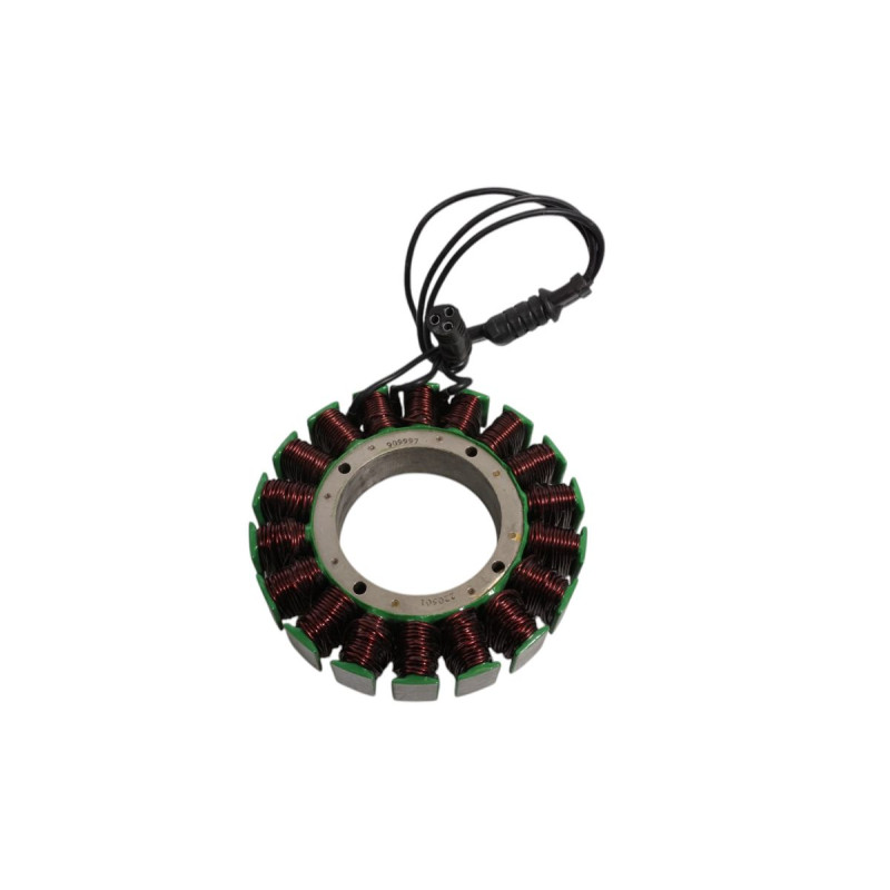 ELECTROSPORT UZWOJENIE ALTERNATORA (STATOR) HARLEY DAVIDSON TOURING (TWIN CAM) (09-14) ELECTROSPORT UZWOJENIE ALTERNATORA (STATOR) HARLEY DAVIDSON TOURING (TWIN CAM) (09-14)