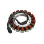 ELECTROSPORT UZWOJENIE ALTERNATORA (STATOR) HARLEY DAVIDSON SOFTAIL (TWIN CAM 96) (07) ELECTROSPORT UZWOJENIE ALTERNATORA (STATOR) HARLEY DAVIDSON SOFTAIL (TWIN CAM 96) (07)