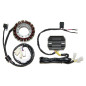 ELECTROSPORT UZWOJENIE ALTERNATORA (STATOR) Z REGULATOREM YAMAHA YXR 450 RHINO (05-10), YXR 660 RHINO (04-07) HIGH POWER