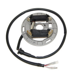 ELECTROSPORT UZWOJENIE ALTERNATORA (STATOR) ZE ŚWIATŁAMI SUZUKI LT80 Quadsport (87-06)
