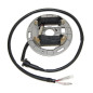 ELECTROSPORT UZWOJENIE ALTERNATORA (STATOR) ZE ŚWIATŁAMI SUZUKI LT80 Quadsport (87-06)