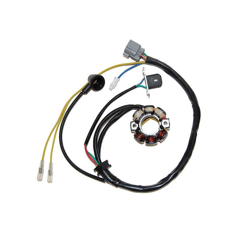 ELECTROSPORT UZWOJENIE ALTERNATORA (STATOR) ZE ŚWIATŁAMI KAWASAKI KXF 250 (04), SUZUKI RMZ 250 (04) (Z IMPULSATOREM) ELECTROSPORT UZWOJENIE ALTERNATORA (STATOR) ZE ŚWIATŁAMI KAWASAKI KXF 250 (04), SUZUKI RMZ 250 (04) (Z IMPULSATOREM)