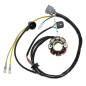 ELECTROSPORT UZWOJENIE ALTERNATORA (STATOR) ZE ŚWIATŁAMI KAWASAKI KXF 250 (04), SUZUKI RMZ 250 (04) (Z IMPULSATOREM) ELECTROSPORT UZWOJENIE ALTERNATORA (STATOR) ZE ŚWIATŁAMI KAWASAKI KXF 250 (04), SUZUKI RMZ 250 (04) (Z IMPULSATOREM)