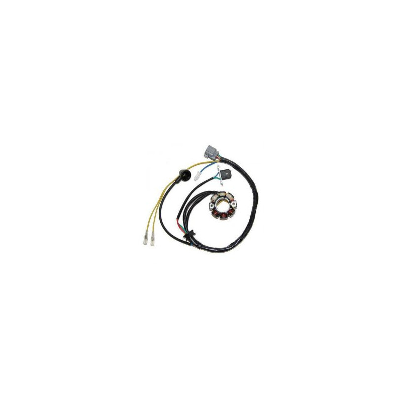 ELECTROSPORT UZWOJENIE ALTERNATORA (STATOR) ZE ŚWIATŁAMI KAWASAKI KXF 250 (05-10), SUZUKI RMZ 250 (05-06) ELECTROSPORT UZWOJENIE ALTERNATORA (STATOR) ZE ŚWIATŁAMI KAWASAKI KXF 250 (05-10), SUZUKI RMZ 250 (05-06)