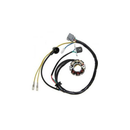 ELECTROSPORT UZWOJENIE ALTERNATORA (STATOR) ZE ŚWIATŁAMI KAWASAKI KXF 250 (05-10), SUZUKI RMZ 250 (05-06)