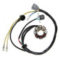 ELECTROSPORT UZWOJENIE ALTERNATORA (STATOR) ZE ŚWIATŁAMI KAWASAKI KXF 250 (05-10), SUZUKI RMZ 250 (05-06) ELECTROSPORT UZWOJENIE ALTERNATORA (STATOR) ZE ŚWIATŁAMI KAWASAKI KXF 250 (05-10), SUZUKI RMZ 250 (05-06)