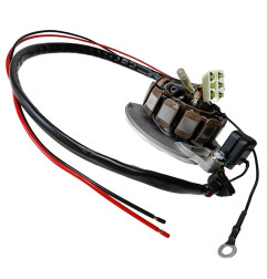 ELECTREX UZWOJENIE ALTERNATORA STATOR KPL. Z REGULATOREM NAPIĘCIA KTM/GAS GAS 125 '03-'04, 200 '00-'04, EC 250 '00-'04