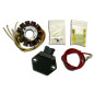 ELECTREX UZWOJENIE ALTERNATORA STATOR KPL. Z REGULATOREM NAPIĘCIA KTM EXC 2T 250 '08-'17 EXC 300 '08-'15